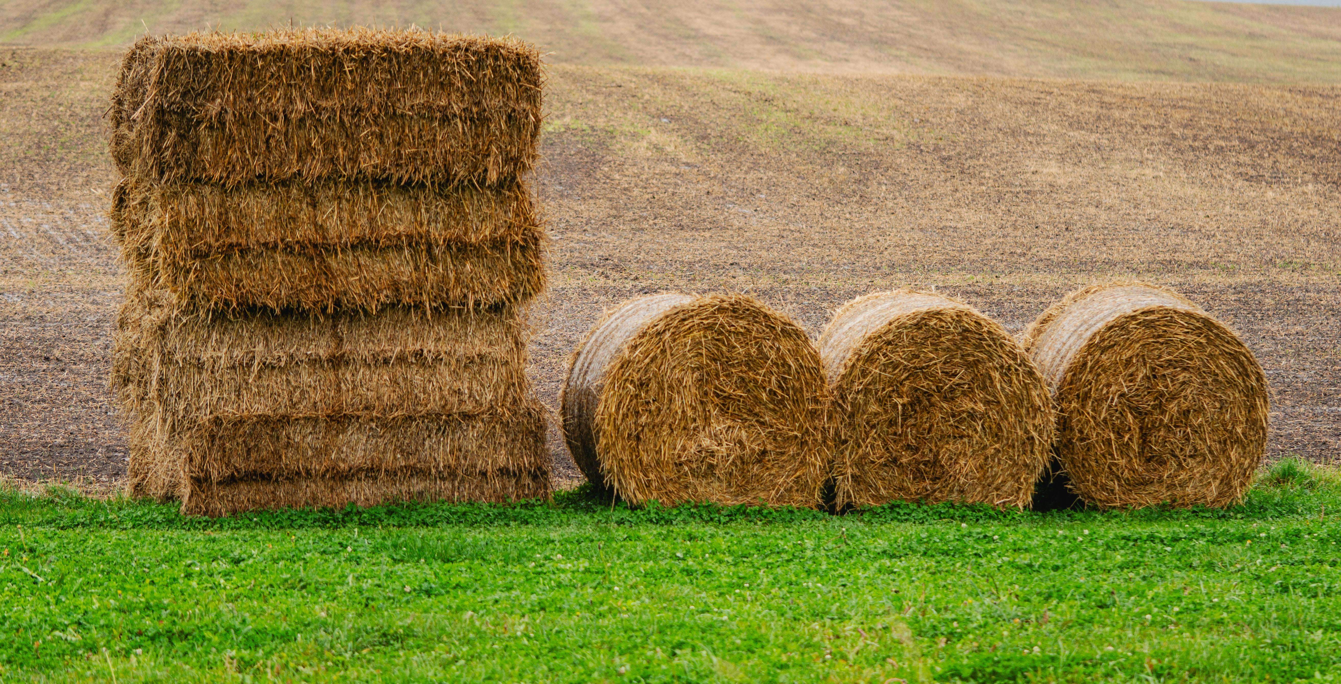 Crop protection application