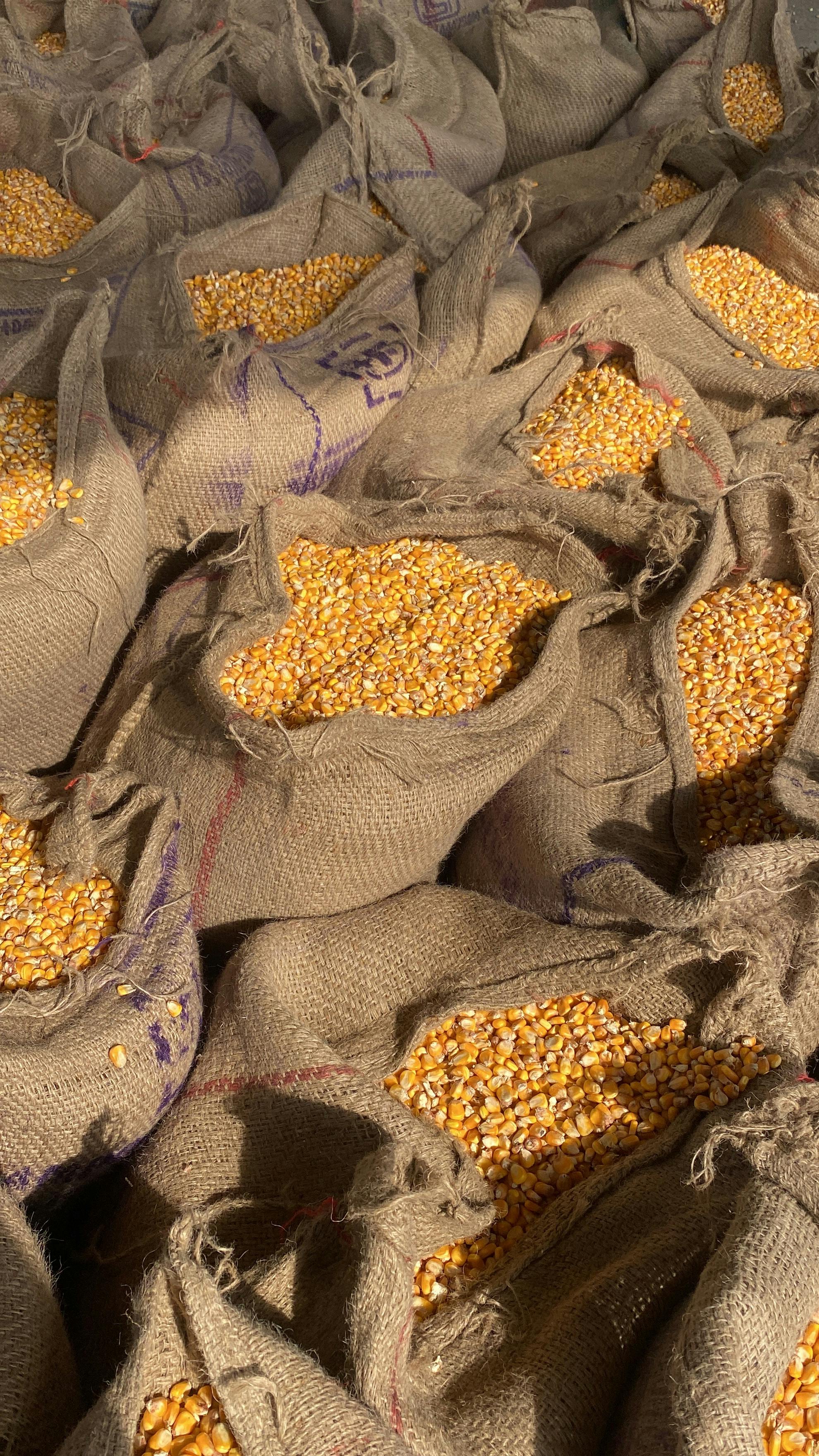 Agricultural business operations and supply chain