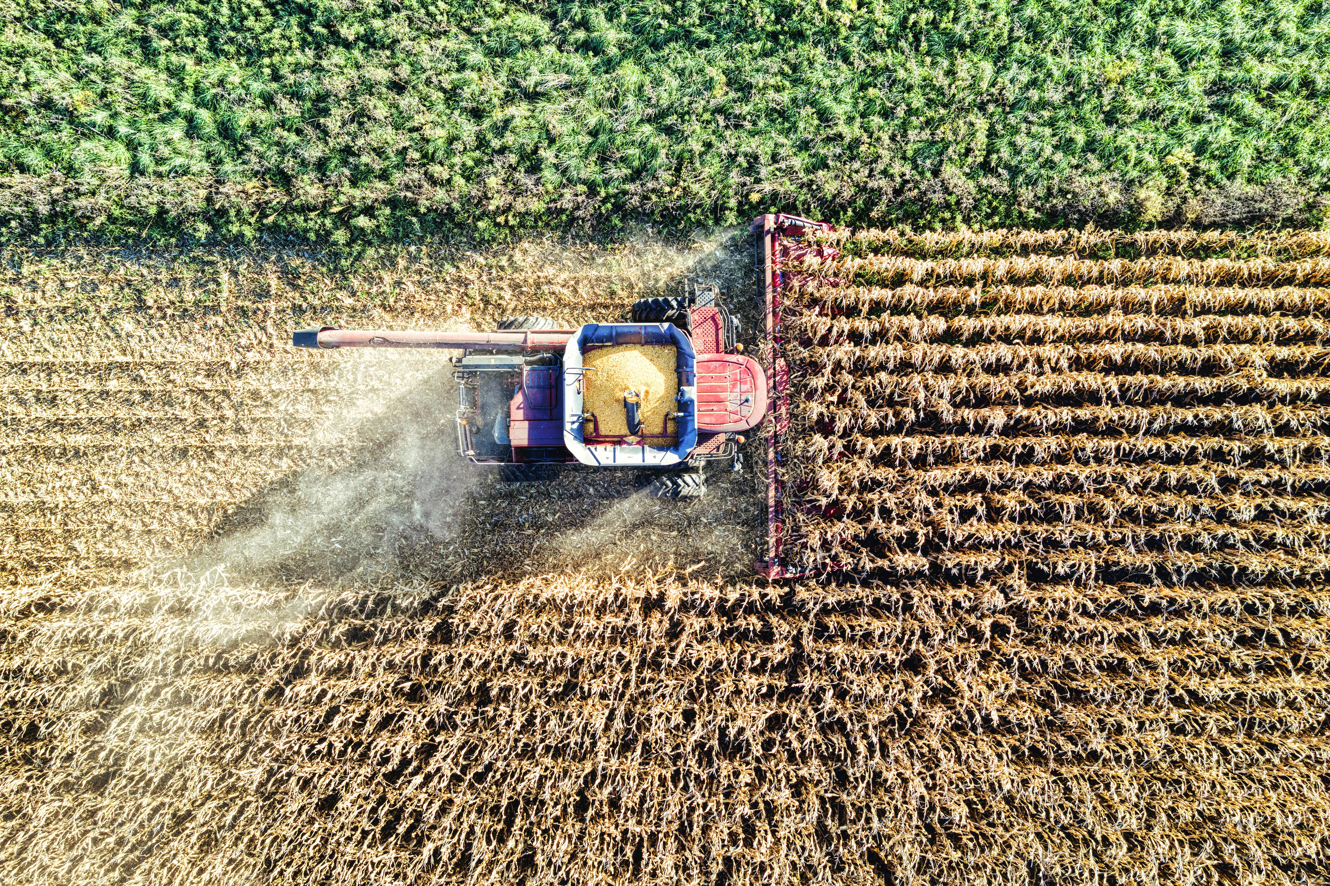 Farmers and agricultural professionals