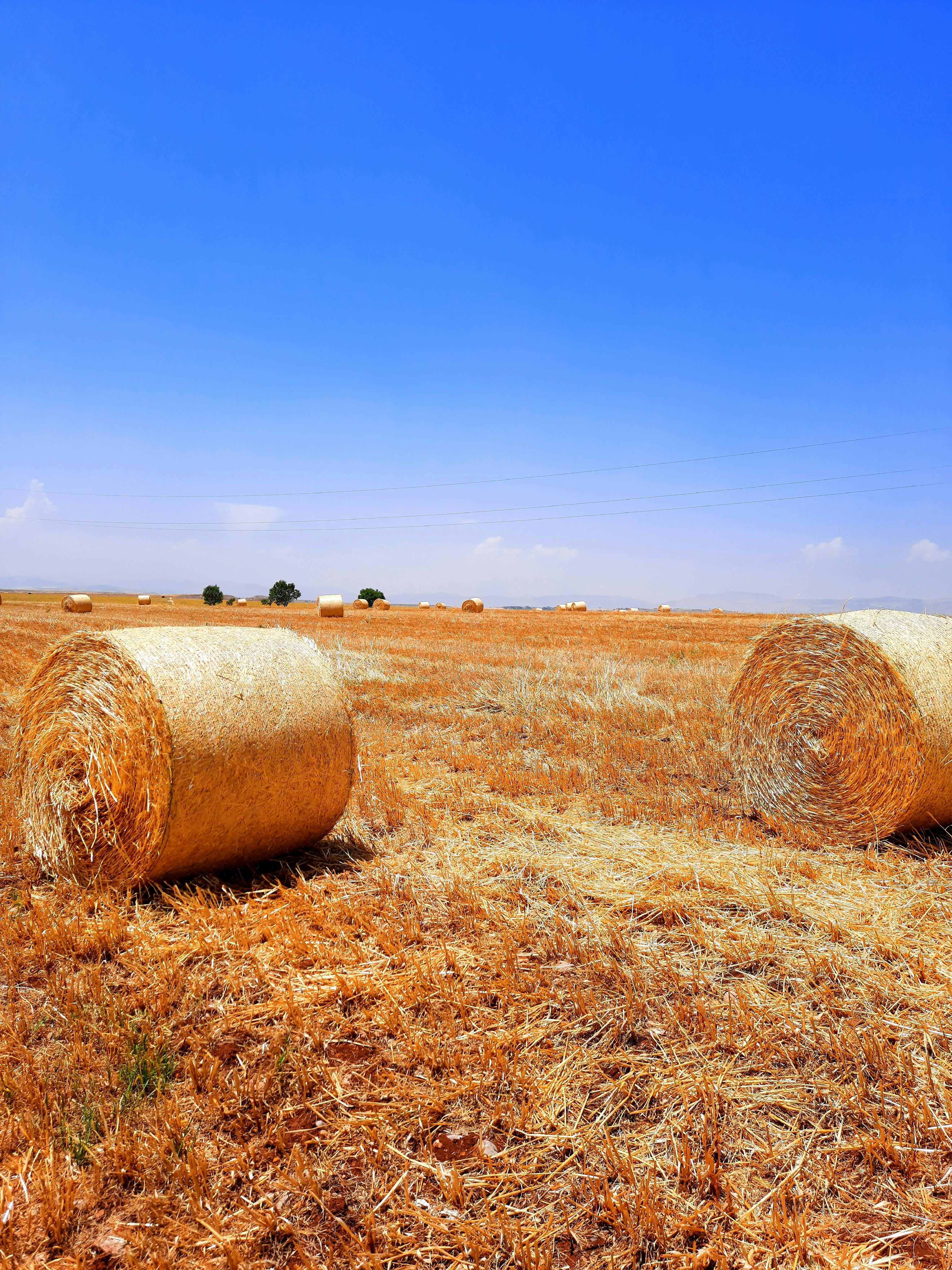 Agricultural product manufacturing facility